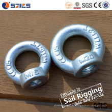 Acier au carbone DIN582 galvanisé Chine Eye Nut Fabricant